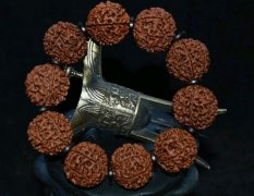 غͽյĻں