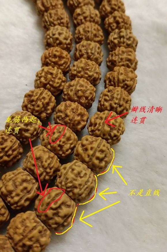 汣ģ ʽ ÷ 