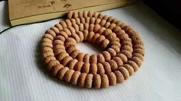 14С̵ִ㣬ȫʶֻ1%