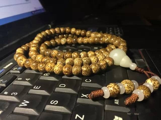 Ӿʢ Ȧɹ