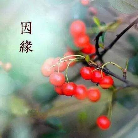 <a href='www.aiwenwan.net' target='_blank'><u></u></a>ϣٶֱϵƭ
