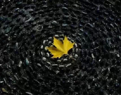 ˵Ƿ