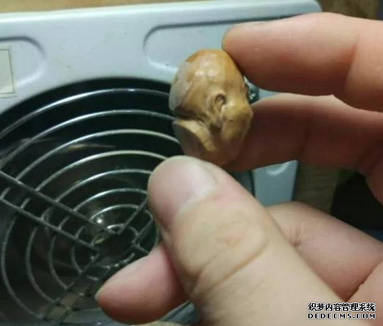 ѧ˵޺ͨ׶