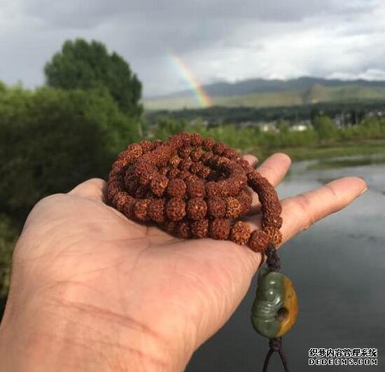 有些玩意,一碰就是一生,开心就好 有些玩意,一碰就是一生,开心就好