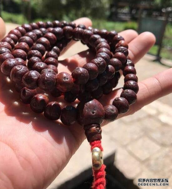 有些玩意,一碰就是一生,开心就好 有些玩意,一碰就是一生,开心就好