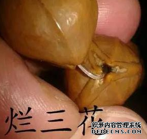那作品也卖不出什么好价钱
