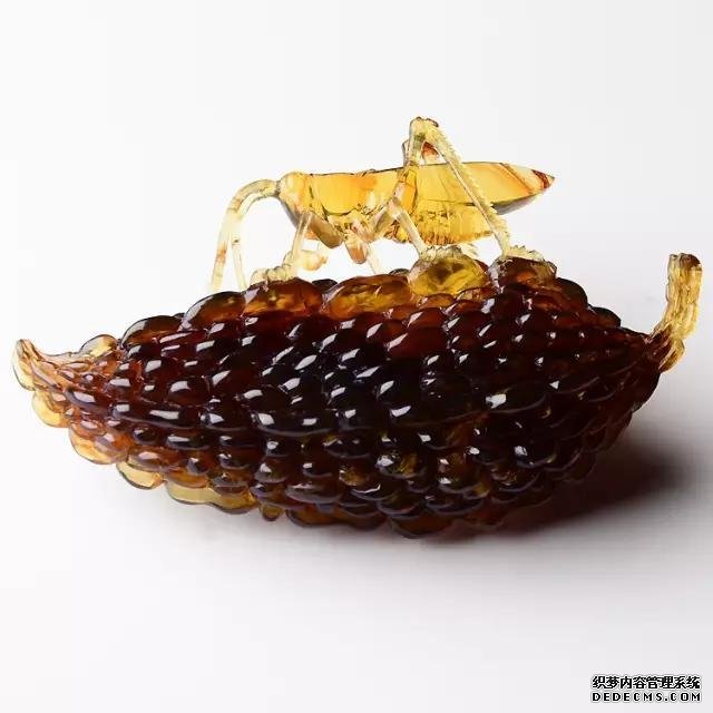 ꣺̽ĳʱнľ