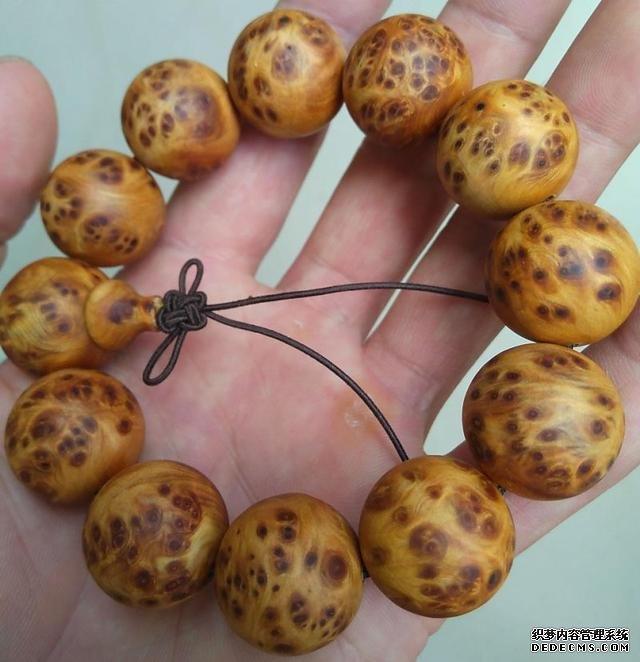 <a href='www.aiwenwan.net' target='_blank'><u>ļ</u></a>Ӧôִ