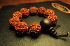 ֬Ա¶ӵɫ 壺ϽӦϵлԭԵֹɫ