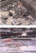 河南信阳城阳城址郭楼墓葬区发掘两座楚墓