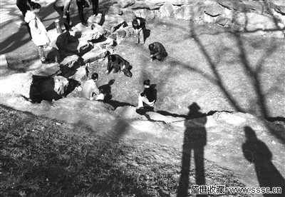 圆明园西洋楼遗址绿地遭游客破坏