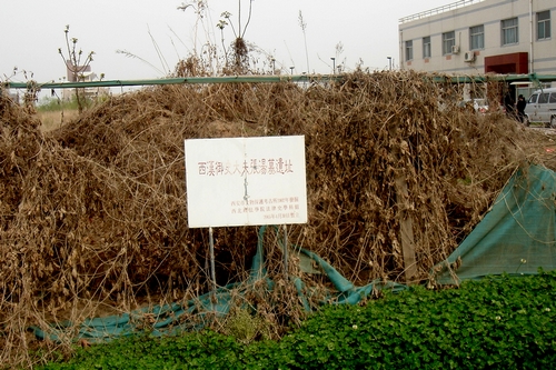  那么它的主人是谁？根据《史记秦本纪》的记载