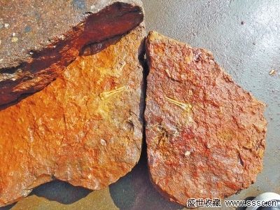泌阳一槌布石断裂面现骨化石 专家:疑似古生物化石