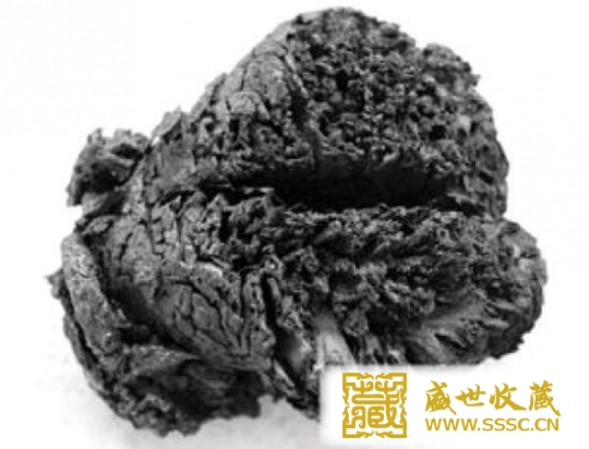 这颗大脑的发现将有助于研究现代人大脑疾病的病因