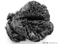  科学家在土耳其发现了现存世界上最古老的人类大脑