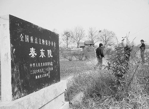 西安市临潼区政府专门下发了《关于加强秦东陵文物保护工作的通知》