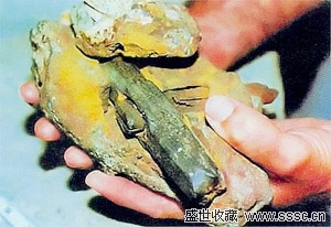 布里尔对这块煤炭进行初步研究后