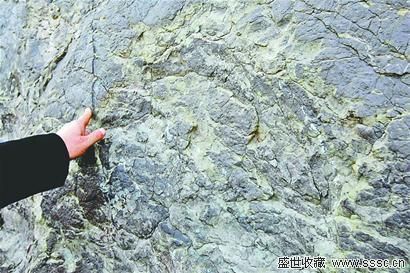 目前对恐龙足迹的开发利用还只停留在规划阶段