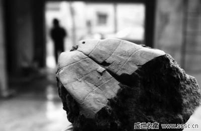 ܽ¹ǡţǼƳɹװƷ͹