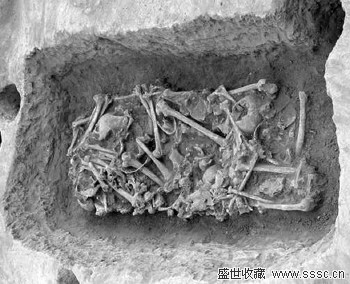 在已经做完的311个个体中