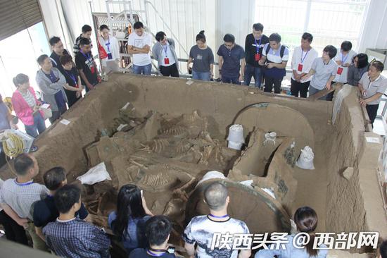 公民围观周原贺家西周铜轮牙车马修复