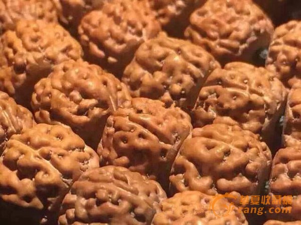 黄皮金刚盘玩后