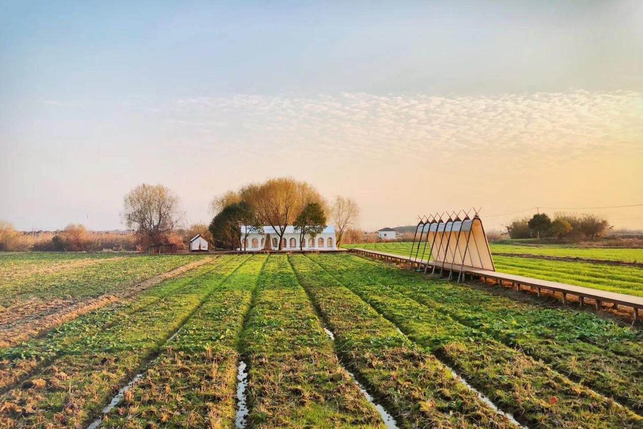 乡伴x 贪生艺术季