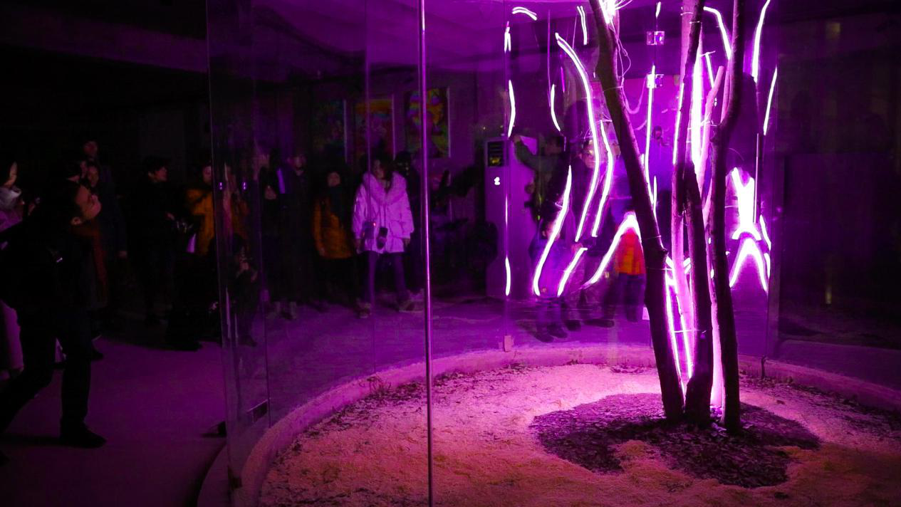 乡伴x 贪生艺术季