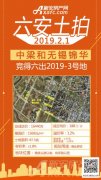 土地招拍挂