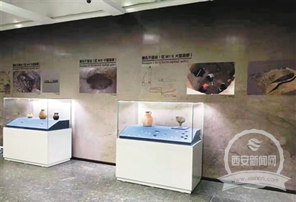 揭示了2000多年前中乌两国友好交往的历史篇章