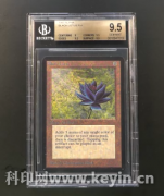  Ķ Ʒ ±Versafire CV ٰCS 92