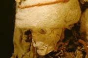 СĹλ޲ȸκӹԼ60޲ɳĮ