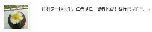 挤压太紧了难免可能会导致树籽内部的损坏