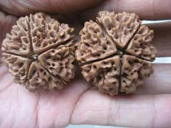 如果你对崖柏手摆件/根雕/随形摆件感兴趣