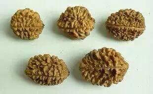 如果你对崖柏手摆件/根雕/随形摆件感兴趣