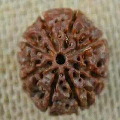 如果你对崖柏手摆件/根雕/随形摆件感兴趣