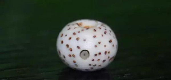  Բ飺ԲͲ˵