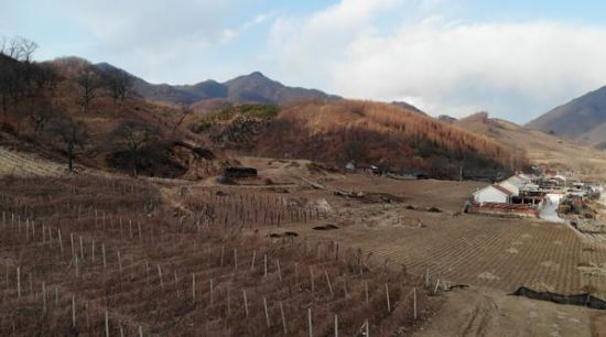  经与桦树甸子村村民确认