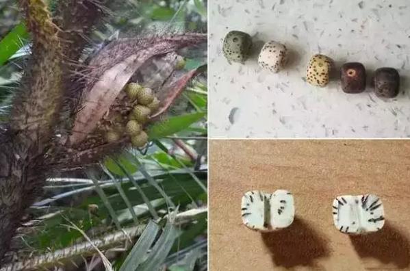 ֲͬƤĽᣨ£Լĺ棨£  ǰ˵Ӳܹ