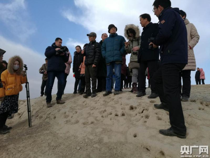 考古研究初步认定西汉西域都护府地理位置