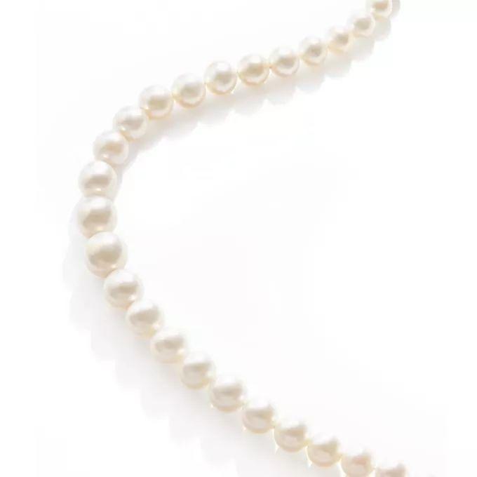 德国王室家族收藏王冠将拍卖