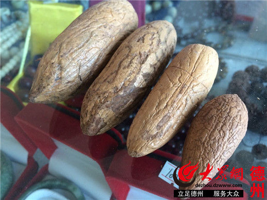 未打磨的“千眼菩提”原籽