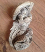 ��ǫ�ġ����������� ���������̫����