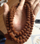 ���Ϲ���������Ʒ ��Ҫɹͼש�Ҽ�����