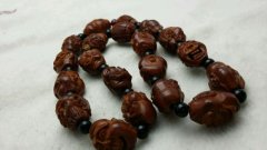 ��ѧ������������������һ·