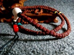 ����������������壺���� ���� ��