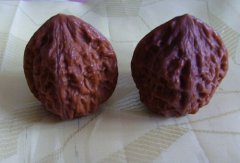 ����Ȧ�Ļ����� ������ϸ���