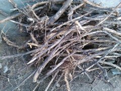 �������ľ�ⵣ���� ���� ���� �ִ�����