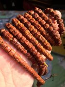 ѧ���������������������·