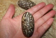 ��ô�ж�ǧ�������ӵ����Ӻû�